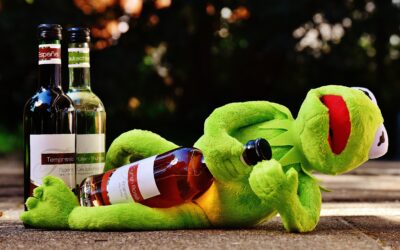 Alcohol in de ban!